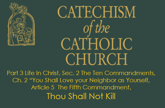 The Fifth Commandment Saint Brigid Catholic Church