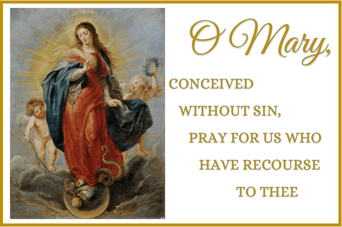 The Solemnity of the Immaculate Conception of the Blessed Virgin Mary
