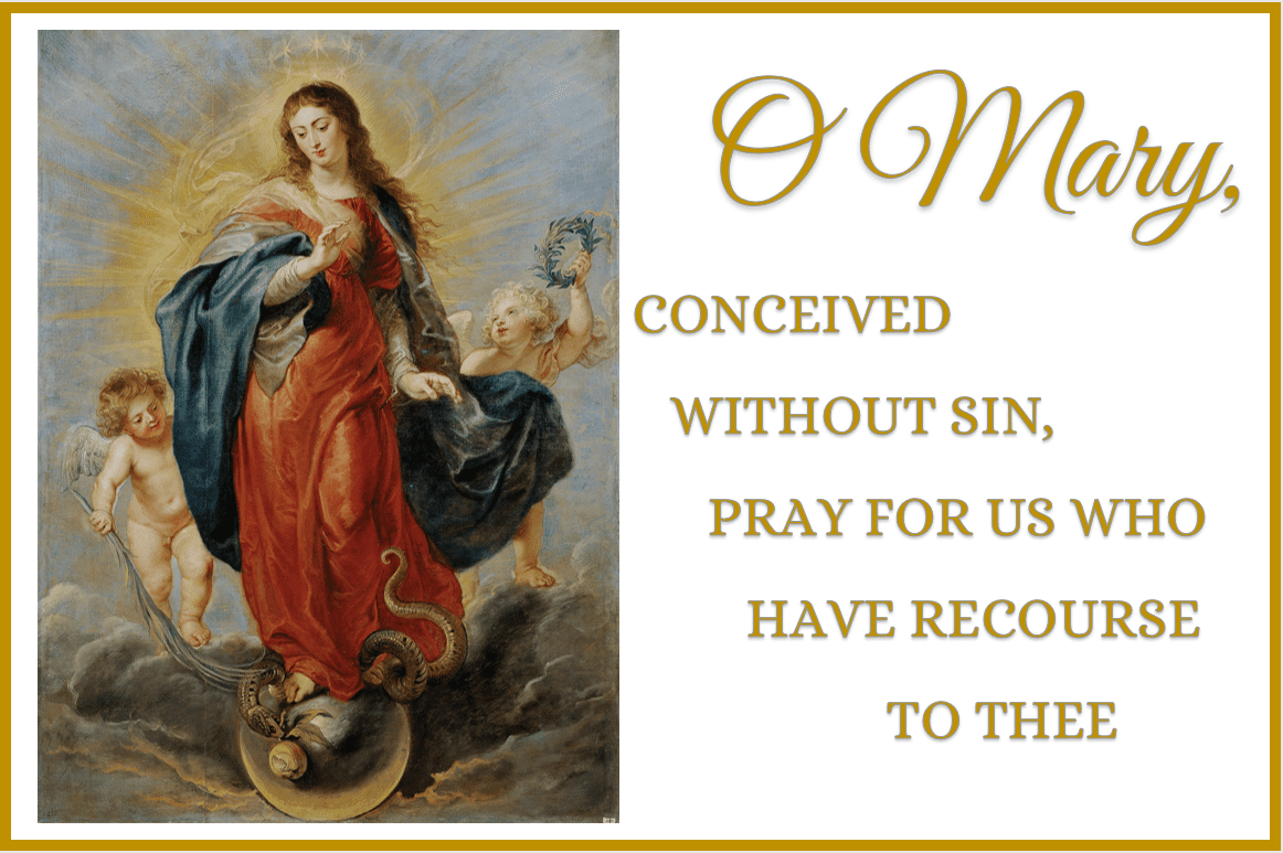 Feast Of The Immaculate Conception Of Mary